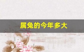 属兔的今年多大(属兔的今年多大1987年出生) 属兔的今年多大(属兔的今年多大1987年出生)