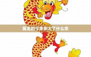 属龙今年多大(属蛇属龙今年多大) 属龙今年多大(属蛇属龙今年多大)