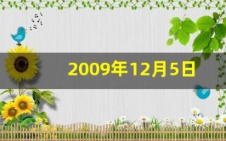 2009年12月5日(2009年12月5日出生的命运)