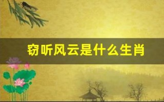 窃听风云是什么生肖(窃听风云指什么生肖) 窃听风云是什么生肖(窃听风云指什么生肖)