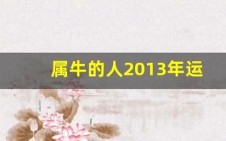 属牛的人2013年运程大全及破解(2013年属牛女全年运势)