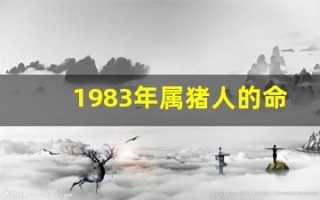 1983年属猪人的命运(1983年属猪的是什么命)