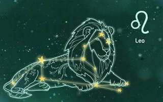狮子座(狮子座是什么象星座) 狮子座(狮子座是什么象星座)