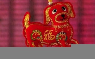 属狗人2022年全年运势运程(属狗人2025年运势及运程)