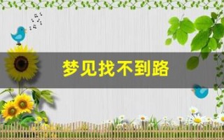 梦见找不到路(梦见找不到路回家是什么意思)