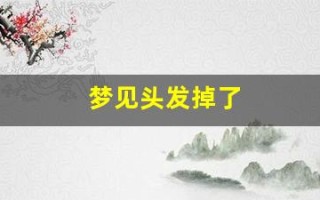 梦见头发掉了(梦见头发掉了很多)