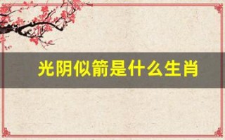 光阴似箭是什么生肖(光阴似箭打一生肖动物)