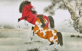 属马人2013年运势(属马人2026年运势运程)