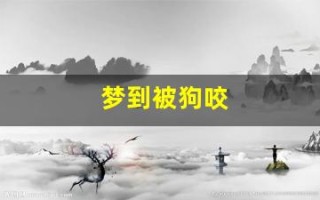 梦到被狗咬(梦到狗咬是什么意思周公解梦)