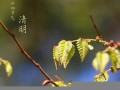 二月廿六(农历二月廿六)