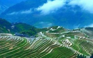 5月1(5月14日是什么星座)