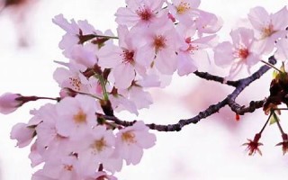 3月27(3月27日出生的名人)
