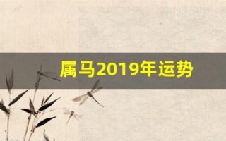 属马2019年运势(属马2019年运势及运程详解)