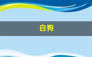 白狗(白狗秋千架)