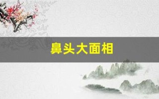 鼻头大面相(鼻头大面相男)