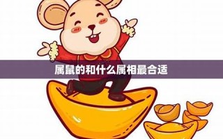 属鼠和什么属相最配(60年属鼠和什么属相最配) 属鼠和什么属相最配(60年属鼠和什么属相最配)