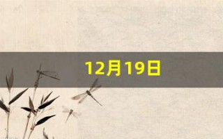12月19日(12月19日上升星座) 12月19日(12月19日上升星座)