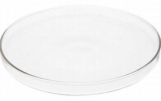 o型血的性格(O型血的性格咋样)