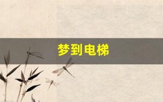 梦到电梯(梦到电梯坠落但人没事是怎么回事)