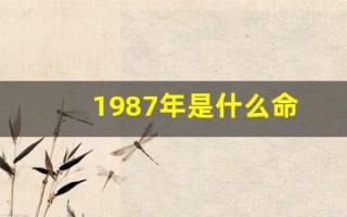 1987年是什么命(1988出生的人是什么命)