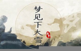 梦见下大雪(梦见下大雪是什么预兆)