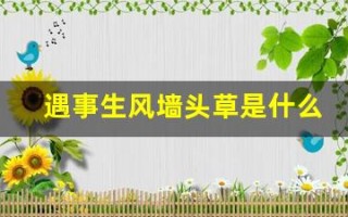 遇事生风墙头草是什么生肖(遇事风生是什么意思)