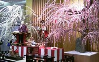 2012年12月22日(2012年12月22日大乐透开奖结果)