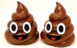 解梦大便(解梦大便是吉兆吗)