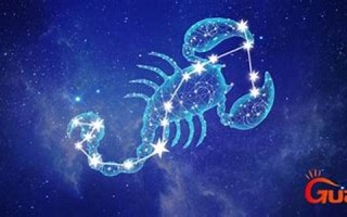 11月17日是什么星座(1987年11月17日是什么星座)