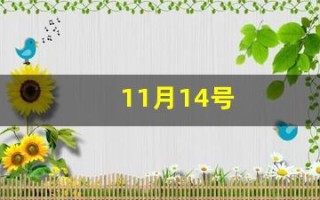 11月14号(11月14号出生很特殊)