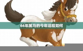 属马的今年运程(属马的今年运程及财运)