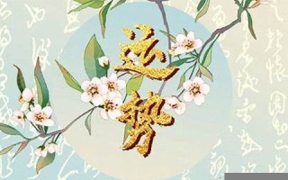 2011年生肖运势(2011年的运势) 2011年生肖运势(2011年的运势)