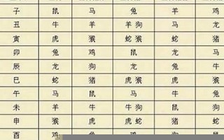 1999年属什么生肖(1999年属什么生肖婚配最佳) 1999年属什么生肖(1999年属什么生肖婚配最佳)