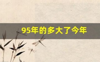 95年的多大了今年(95年的多大了今年虚岁)
