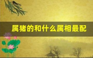 属猪的和什么属相最配(83年女属猪的和什么属相最配) 属猪的和什么属相最配(83年女属猪的和什么属相最配)