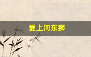 爱上河东狮(我爱河东狮续文) 爱上河东狮(我爱河东狮续文)