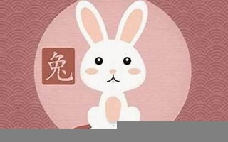 属兔男最佳婚配属相(属兔男最佳婚配属相表) 属兔男最佳婚配属相(属兔男最佳婚配属相表)