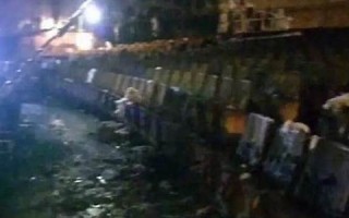 1994年12月8日(1994年12月8日农历是多少) 1994年12月8日(1994年12月8日农历是多少)