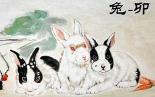 1987年属兔人2023年全年运势(1987年属兔适合住几楼层) 1987年属兔人2023年全年运势(1987年属兔适合住几楼层)