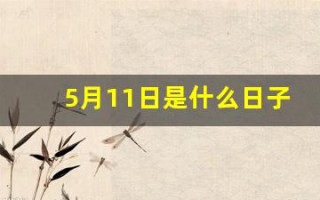 5月11日是什么日子(5月11日是什么日子需要鸣笛)