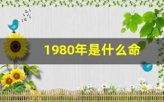 1980年是什么命(1972年鼠是什么命) 1980年是什么命(1972年鼠是什么命)