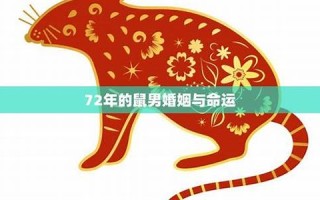 鼠年出生的人的命运(鼠年出生的人的命运2008) 鼠年出生的人的命运(鼠年出生的人的命运2008)