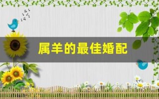 属羊的最佳婚配(属兔的最佳婚配) 属羊的最佳婚配(属兔的最佳婚配)