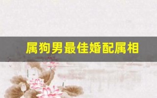 属狗男最佳婚配属相(九四年属狗男孩最佳婚姻匹配) 属狗男最佳婚配属相(九四年属狗男孩最佳婚姻匹配)