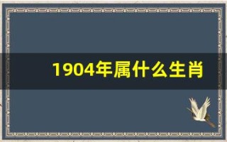 1904年属什么生肖(1904年属什么生肖8月龙命运) 1904年属什么生肖(1904年属什么生肖8月龙命运)