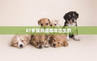 属狗是哪年出生的(属狗的是哪年出生的今年多少岁) 属狗是哪年出生的(属狗的是哪年出生的今年多少岁)