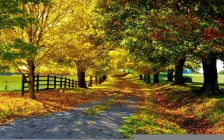 2023年运势测算免费(2023年运势及运程每月运程)