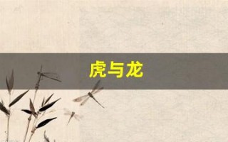 虎与龙(虎与龙相冲还是相合)