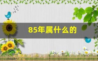 85年属什么的(80年的属什么)