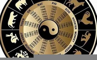 2014年属什么生肖(2004年属什么生肖)